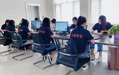 Precision Marketing Capability